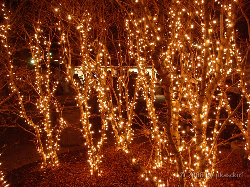 039 Toledo Zoo Light Show [2008 Dec 27].JPG - Scenes from the Toledo Zoo Light Show.